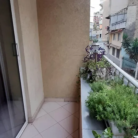 酒店 拜利斯酒店 3*