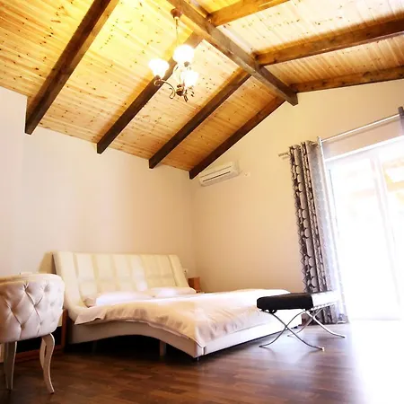 酒店 拜利斯酒店 地拉那