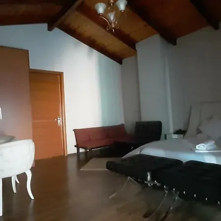 酒店 拜利斯酒店 地拉那